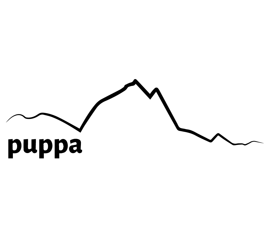 editeurs-fdd_pu-pau
